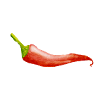 Red hot chilli