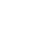 chinchilla
