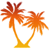 Palm Tree Sunset