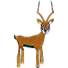 gazelle