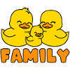 Yellow ducks family