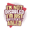 Disability wheelchair