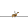 Funny sleeping bunny
