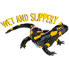 Fire salamander
