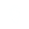 Flower Power