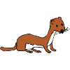 væsel
