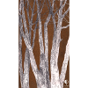 Woods