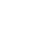 Brother 2020