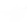 Spinosaurus Geschenk