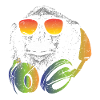 Monkey DJ headphones sunglasses