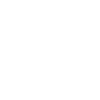 boss in home office