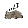 Sleeping buffalo