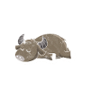 Sleeping buffalo