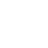 Chien avec caniche