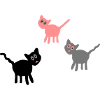 three cats