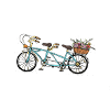 Flowers Tandem Bicycle Nature