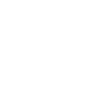 white owl bird white