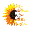 Sunshine Flower Inspirational Quote