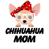 Chihuahua Mama