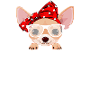 Chihuahua Mom