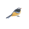 Biology