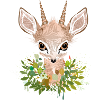 Zwergantilope Dikdik mit großen Augen