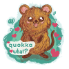quokka