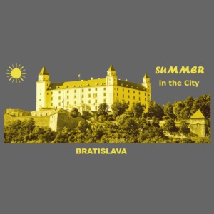 Summer Bratislava City Slowakei Burg Donau Sommer