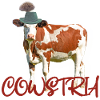 Cowstria - an Austrian cow