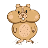 Hamster with thick cheeks