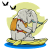 Kayak d'éléphant Kayak d'éléphant