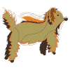 Fluffy Dog Bearlike Creature