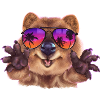 Cool Quokka