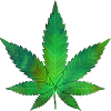 Weed Oil Paint