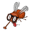 Zinzin fly