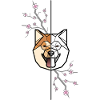 Shiba Inu - Doppelseite
