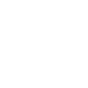 painter