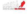 Evolution hockey sur glace