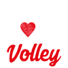 Volleyball volleyball players