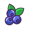 Blueberry