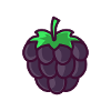 blackberry