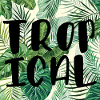 Palmiers et lettres d'été tropical