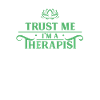 Therapist therapist team therapist therapy
