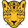 wild animal leopards 30