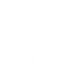 Oiseau fou blanc