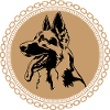 German shepherd dog
