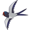 Cute barn swallow