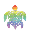 Rainbow turtle