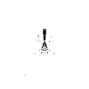 White wolf spider