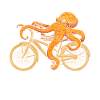 Vélo Octopus
